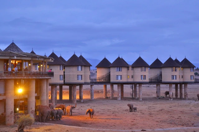 Salt Lick Safari Lodge · 外观与环境