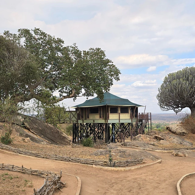 Tarangire Kuro Treetops Lodge · 外观与环境