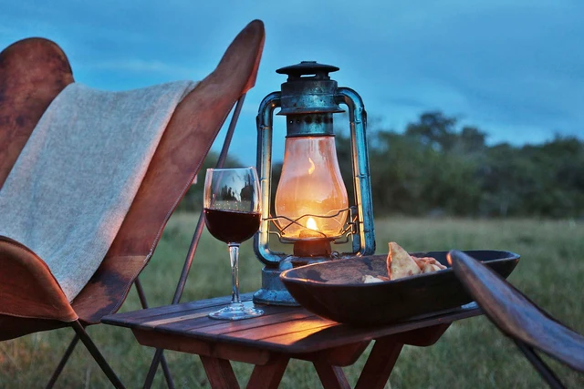 Pakulala Safari Camp · 露台与景观