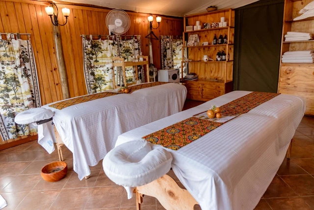 Serengeti Serena Safari Lodge · 大堂
