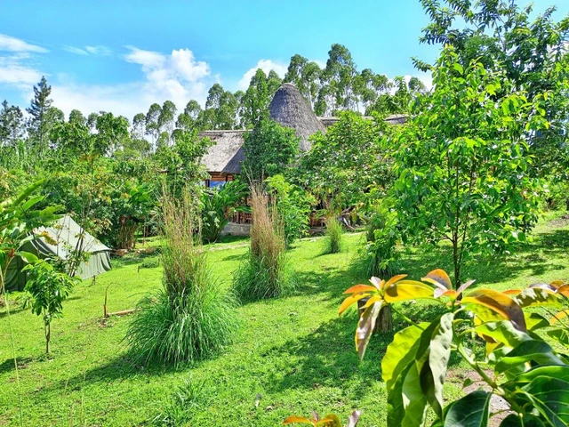 Chimpanzee Capital Safari Lodge · 外观与环境