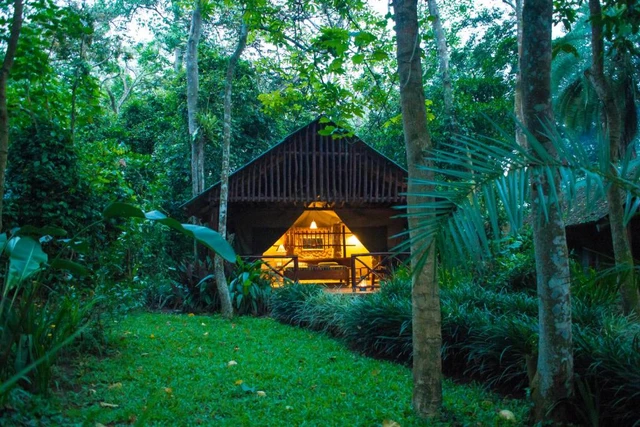 Kibale Forest Camp · 外观与环境