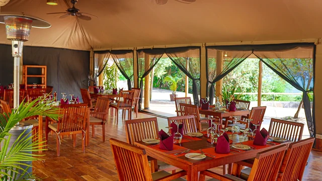 Mara Elatia Camp · 餐厅与用餐环境