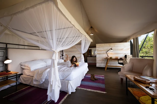 Mara Mara Tented Lodge · 客房
