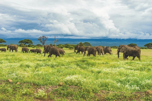 SafariBookings 路线参考影像