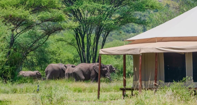 Sound of Silence Tented Camp · 外观与环境