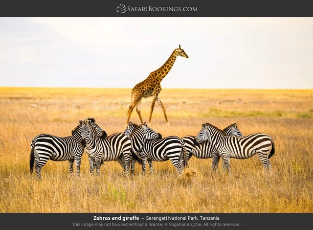 SafariBookings 路线参考影像