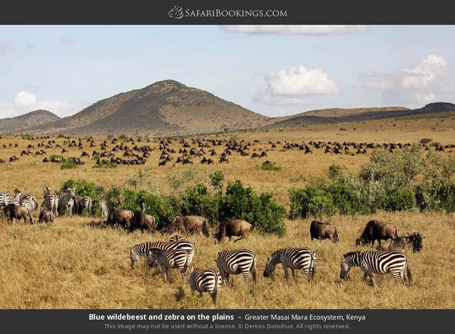 SafariBookings 路线参考影像