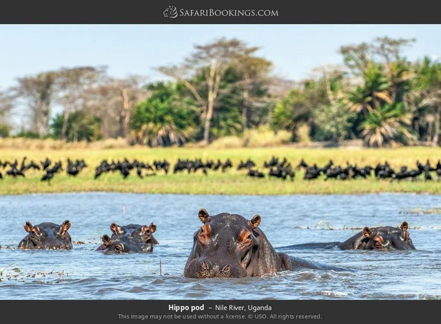 SafariBookings 路线参考影像