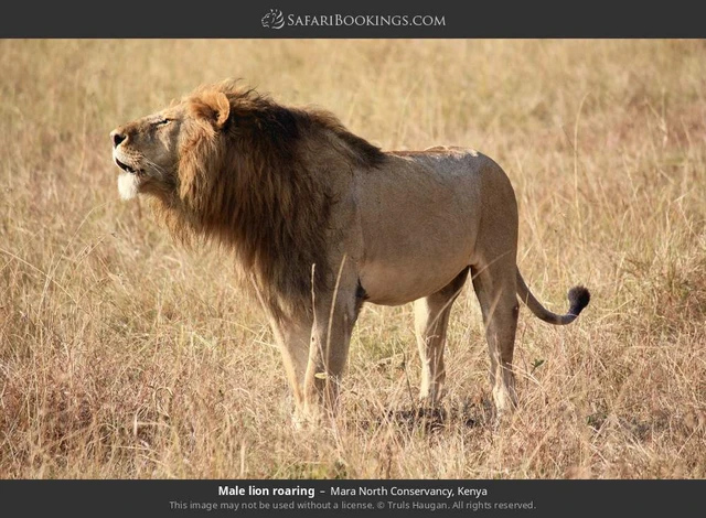 SafariBookings 路线参考影像