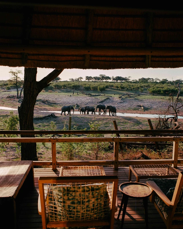 Belmond Savute Elephant Lodge · 餐厅与用餐环境