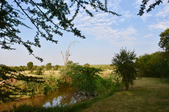 Asilia Ol Pejeta Bush Camp · 住宿环境