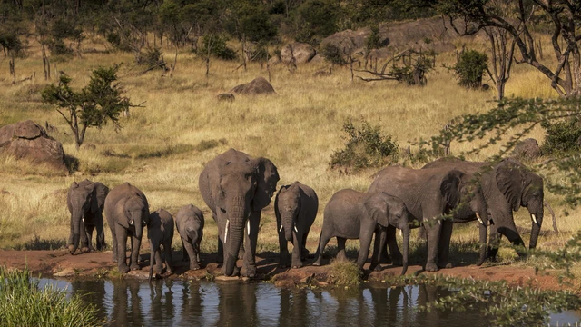 SafariBookings 路线参考影像