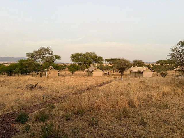 Out in Africa Camp · 外观与环境