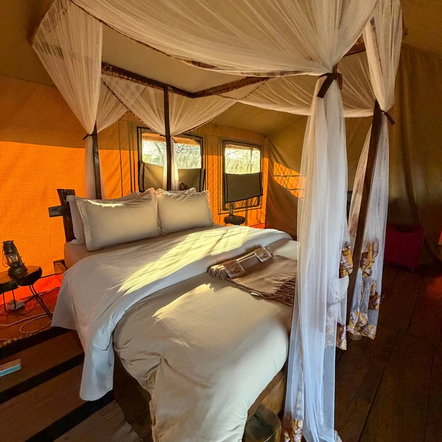 Baobab Tented Camp · 客房