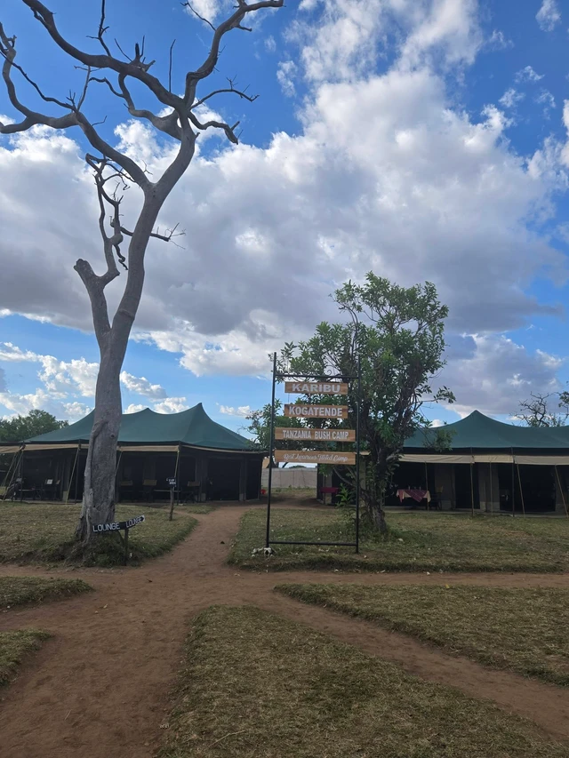 Tanzania Bush Camps - Mara River · 外观与环境
