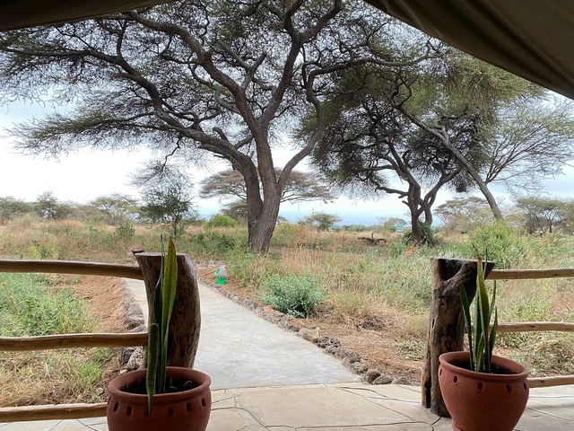 Kibo Safari Camp · 露台与景观