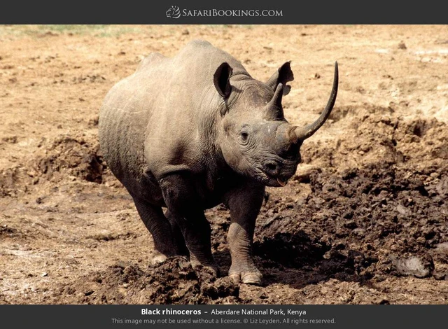 SafariBookings 路线参考影像
