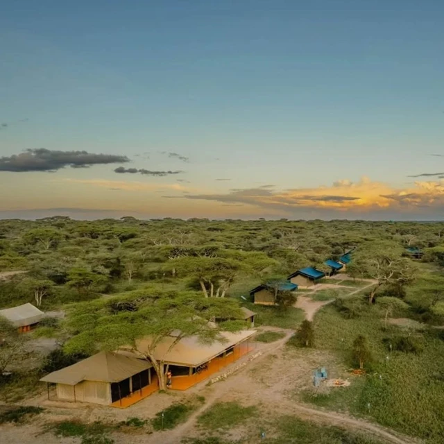 Ang'ata Migration - Ndutu Camp · 外观与环境