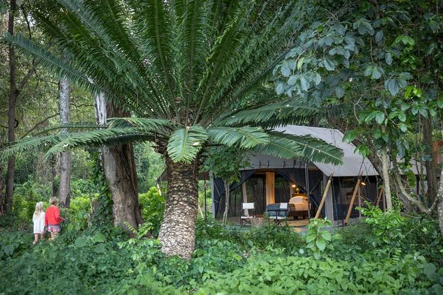 Kitich Forest Camp · 外观与环境