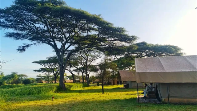 Africa Safari Ngorongoro Ndutu Camp · 外观与环境