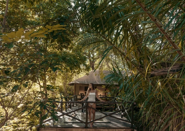 Rhino River Camp · 外观与环境