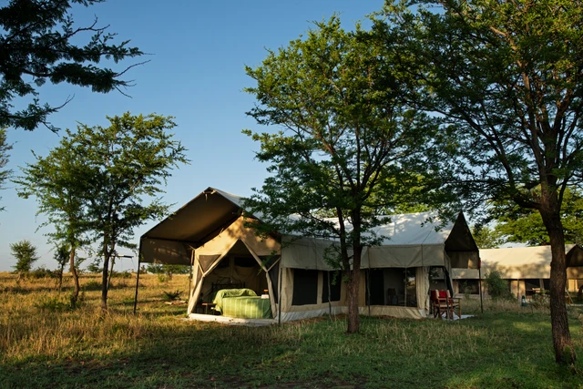 Mara Kati Kati Tented Lodge · 外观与环境
