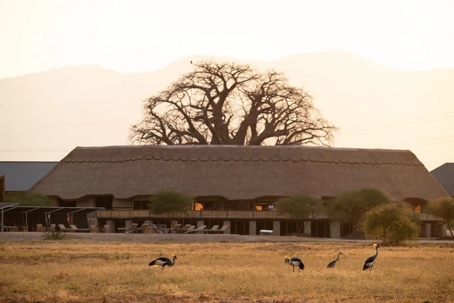 Lake Burunge Baobab Tented Lodge · 休息区