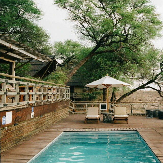 Belmond Savute Elephant Lodge · 泳池