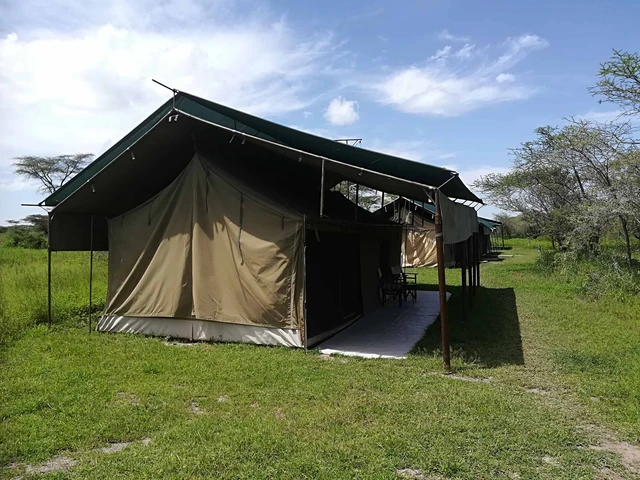 Ang'ata Migration - Ndutu Camp · 外观与环境
