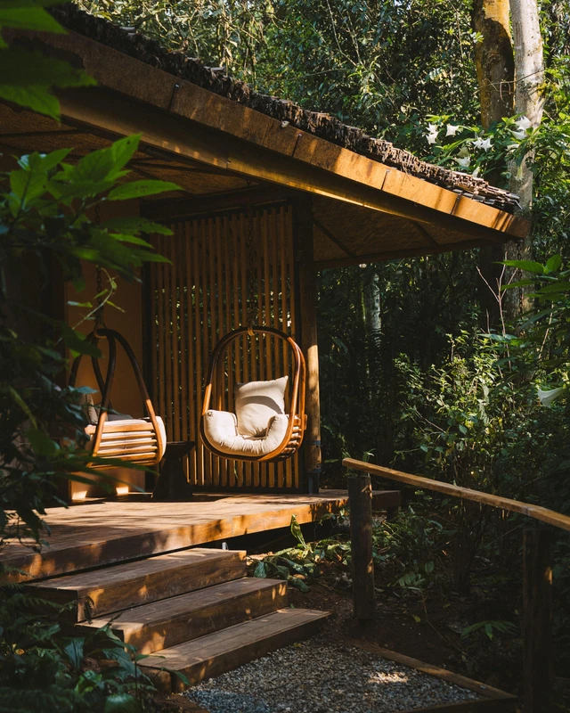 Sanctuary Gorilla Forest Camp · 露台与景观