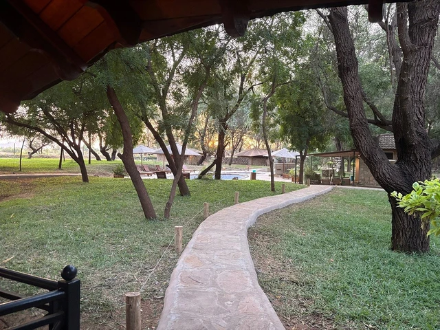 Ashnil Samburu Camp · 外观与环境