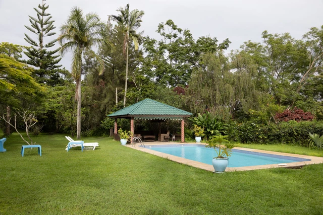 Meru View Lodge · 泳池