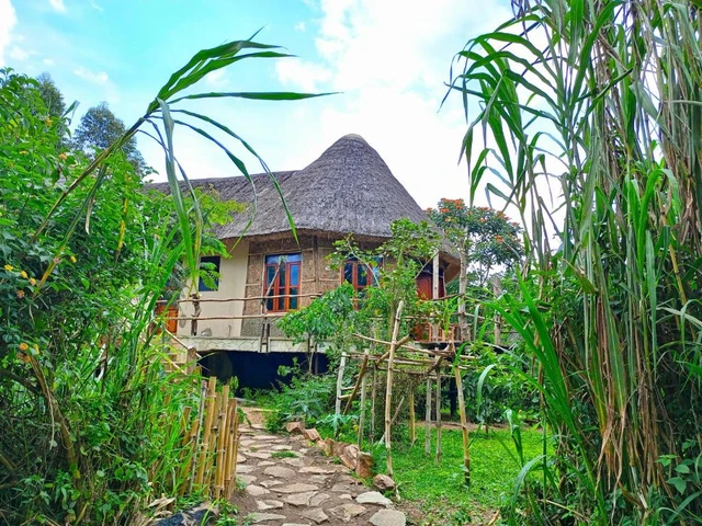 Chimpanzee Capital Safari Lodge · 外观与环境