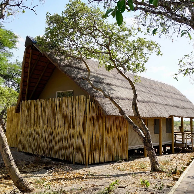 Belmond Savute Elephant Lodge · 外观与环境