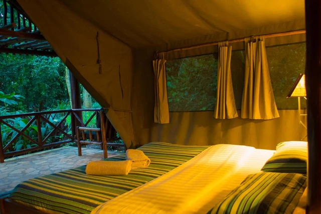 Kibale Forest Camp · 客房