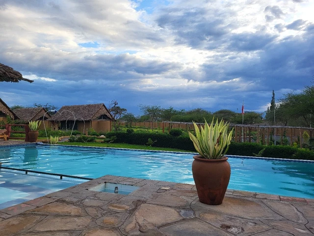 Hunter's Luxury Manor · 泳池