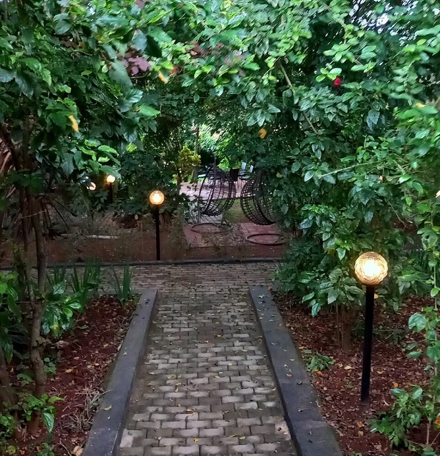Papyrus Guest House · 住宿环境