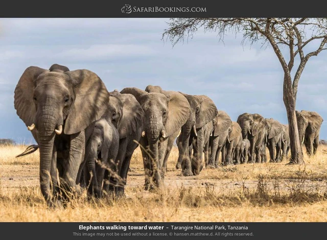 SafariBookings 路线参考影像