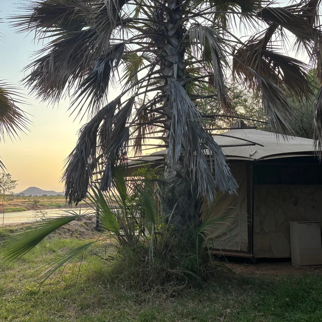 Ashnil Samburu Camp · 外观与环境