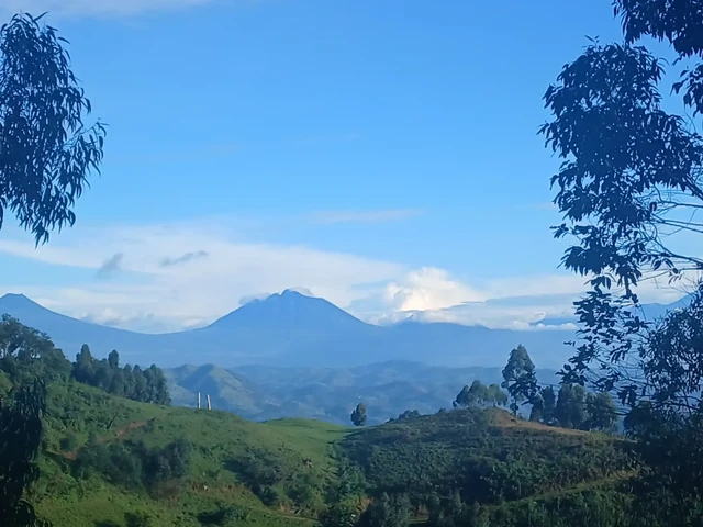 Orugano Bwindi Lodge · 外观与环境