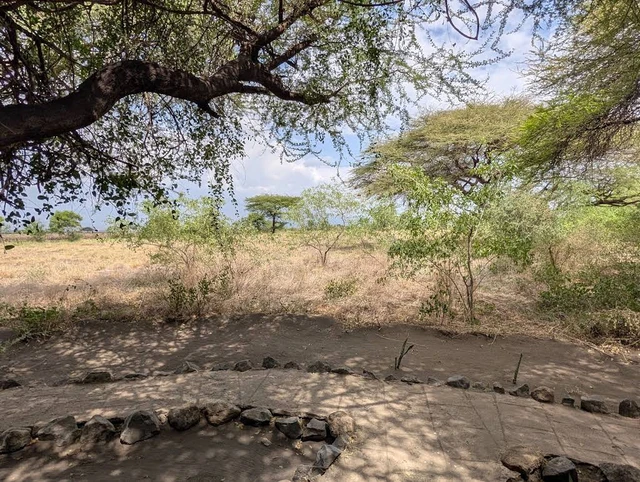 Lake Natron Tented Camp · 住宿环境