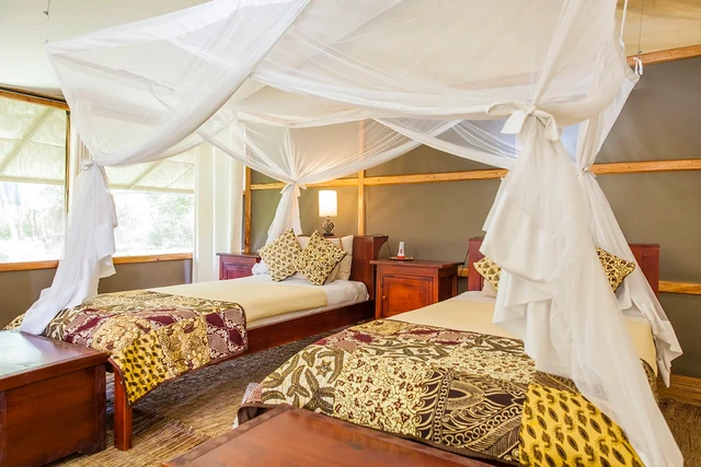 Ishasha Wilderness Camp · 客房