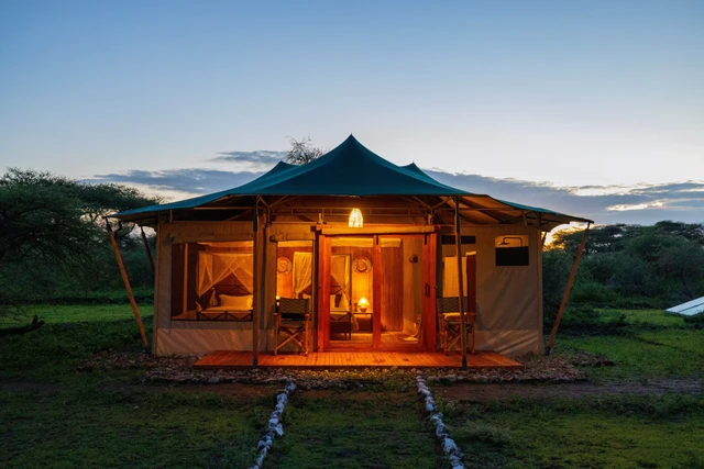 Safari Haven Migration Camp · 外观与环境