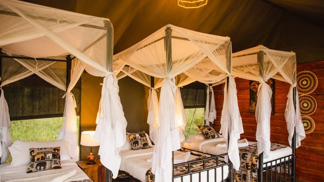 Kenzan Central Tented Camp · 客房