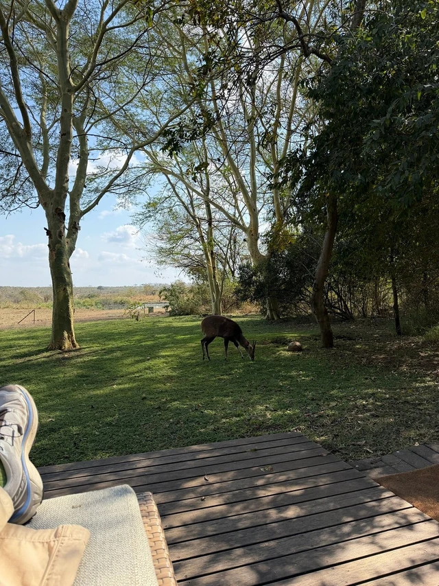 Savanna Private Game Reserve Lodge · 住宿环境