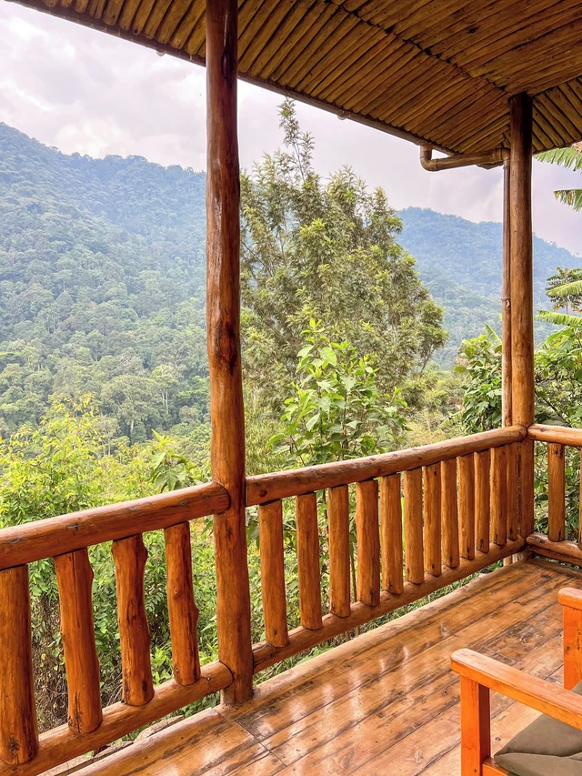 Gorilla Bluff Lodge · 露台与景观