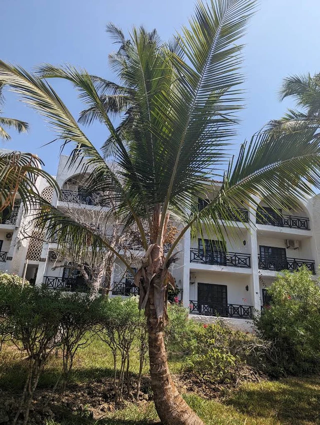 Diani Sea Lodge · 外观与环境