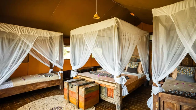 Africa Safari Lake Natron Lodge · 客房