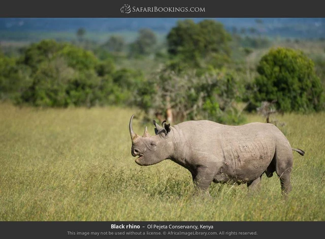 SafariBookings 路线参考影像